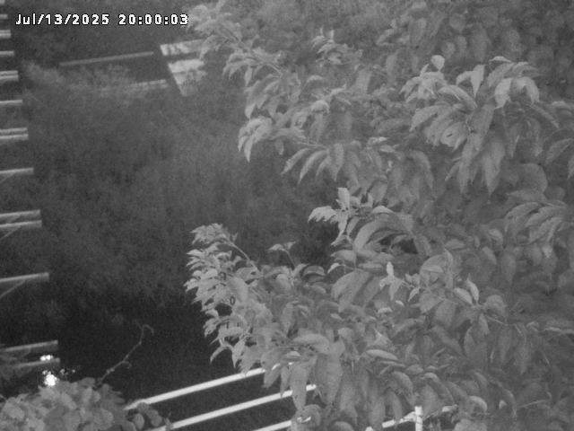 小松谷川２2026/07/14 15:20:00