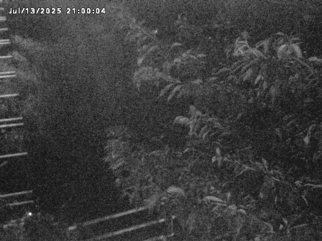 小松谷川２2026/07/14 15:20:00
