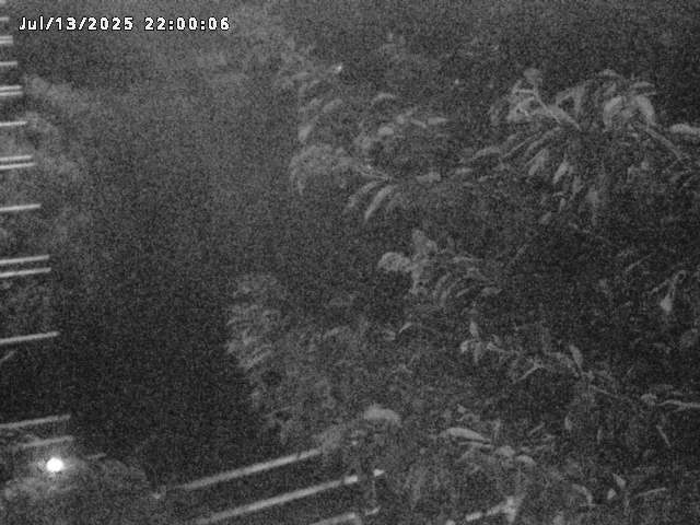 小松谷川２2026/07/14 15:20:00