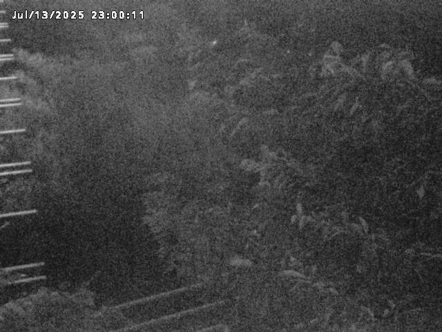 小松谷川２2026/07/14 15:20:00