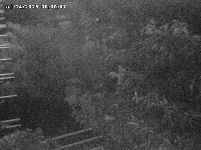 小松谷川２2026/07/14 15:20:00