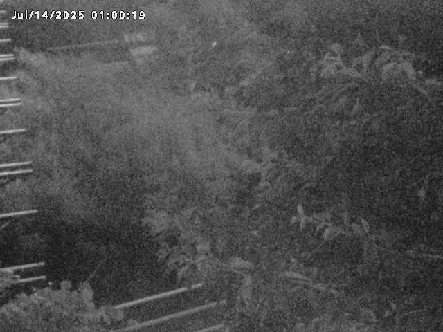 小松谷川２2026/07/14 15:20:00