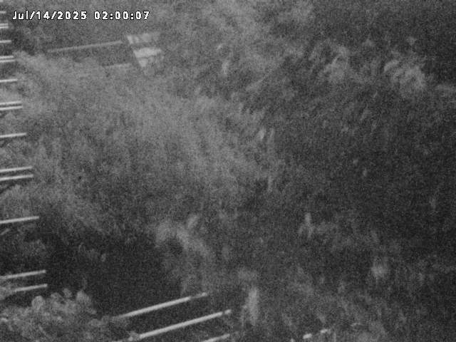 小松谷川２2026/07/14 15:20:00