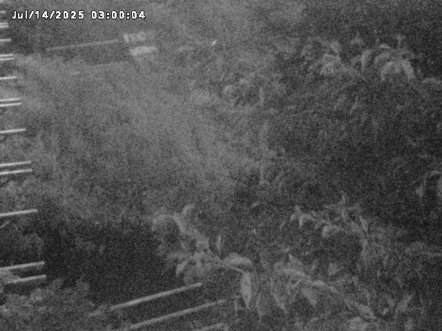 小松谷川２2026/07/14 15:20:00