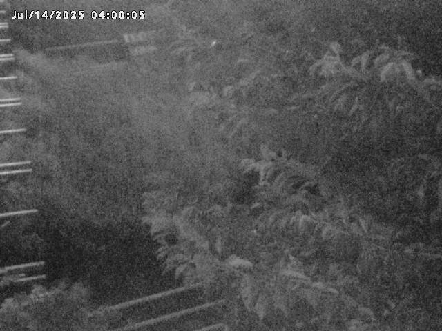 小松谷川２2026/07/14 15:20:00
