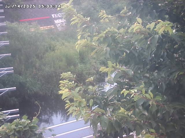 小松谷川２2026/07/14 15:20:00