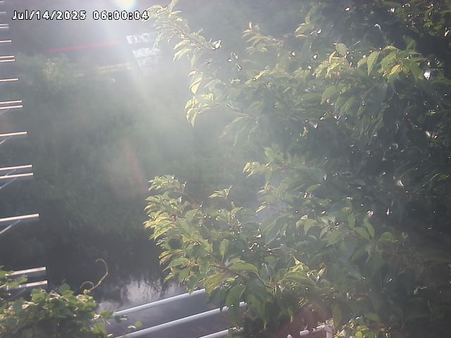 小松谷川２2026/07/14 15:20:00