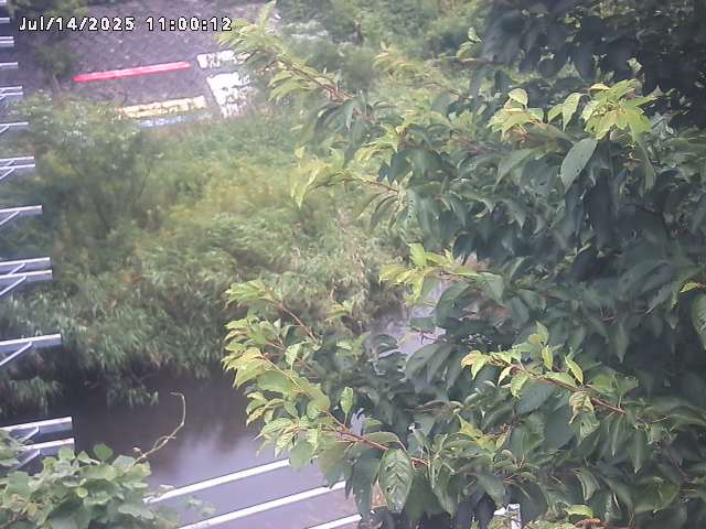 小松谷川２2026/07/14 15:20:00