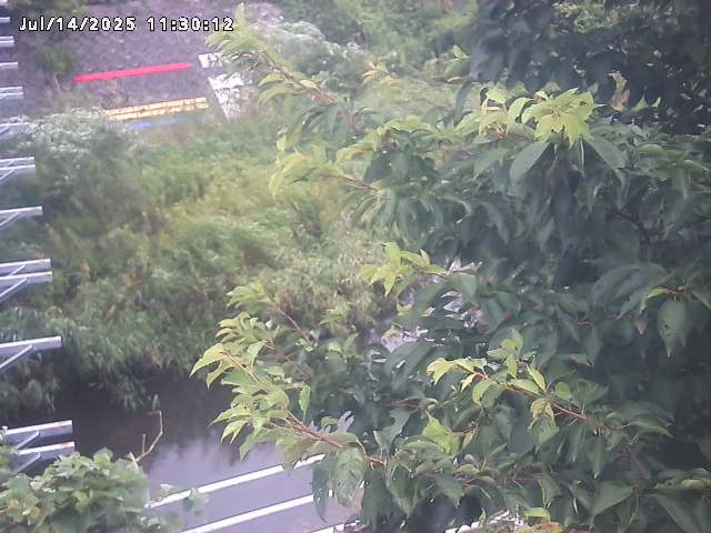 小松谷川２2026/07/14 15:20:00