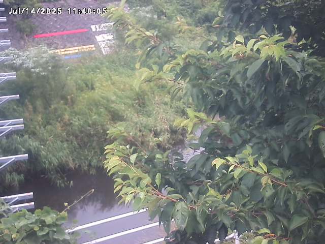 小松谷川２2026/07/14 15:20:00