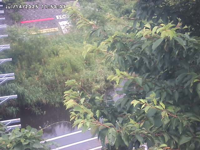 小松谷川２2026/07/14 15:20:00