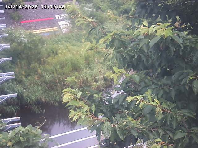 小松谷川２2026/07/14 15:20:00