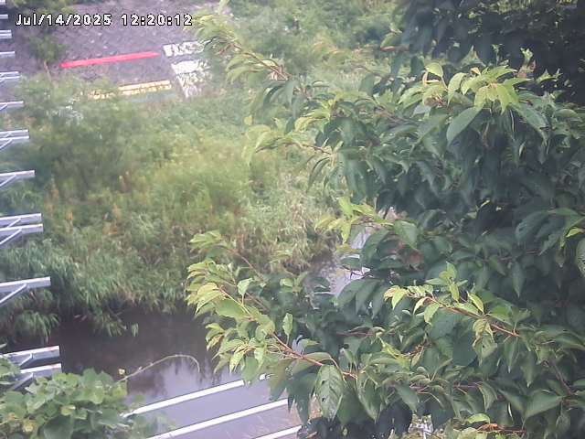小松谷川２2026/07/14 15:20:00