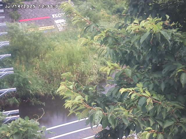 小松谷川２2026/07/14 15:20:00