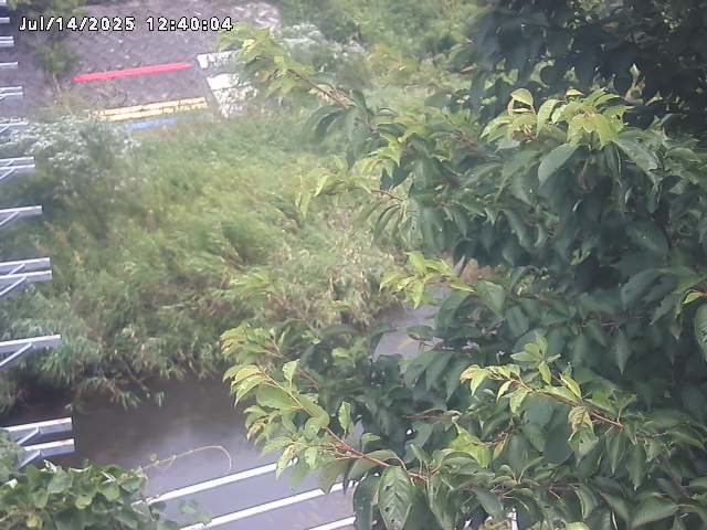 小松谷川２2026/07/14 15:20:00