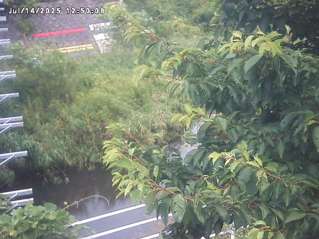 小松谷川２2026/07/14 15:20:00