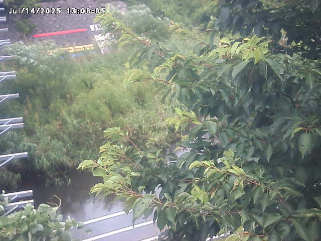 小松谷川２2026/07/14 15:20:00