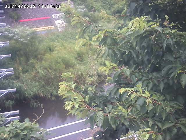 小松谷川２2026/07/14 15:20:00