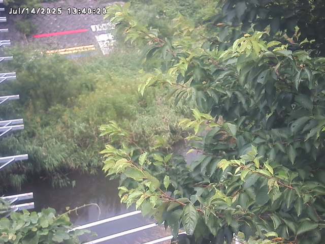 小松谷川２2026/07/14 15:20:00