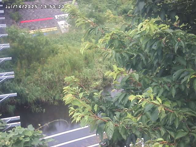 小松谷川２2026/07/14 15:20:00