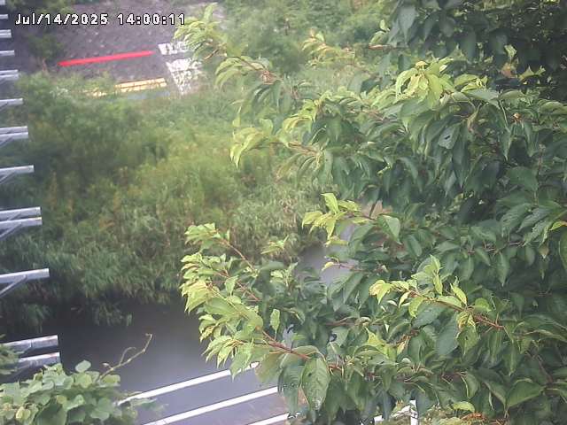 小松谷川２2026/07/14 15:20:00