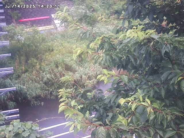 小松谷川２2026/07/14 15:20:00