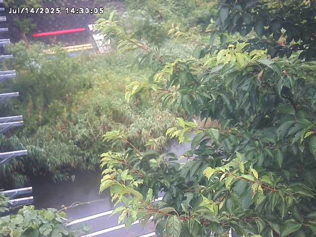 小松谷川２2026/07/14 15:20:00