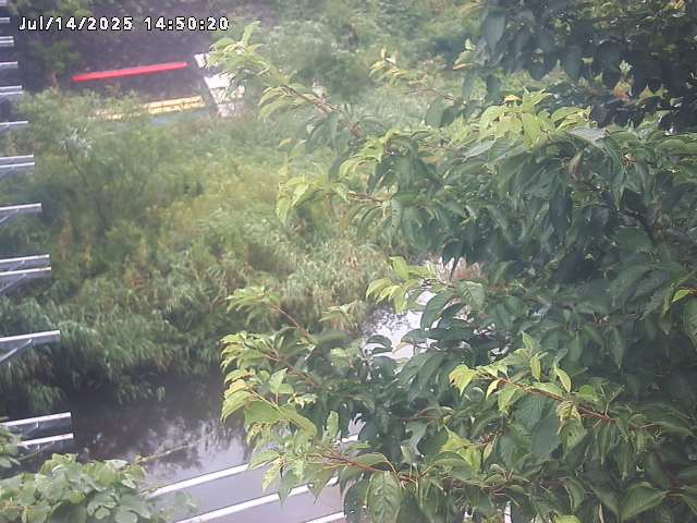 小松谷川２2026/07/14 15:20:00