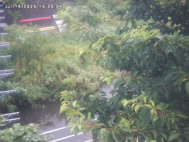 小松谷川２2026/07/14 15:20:00