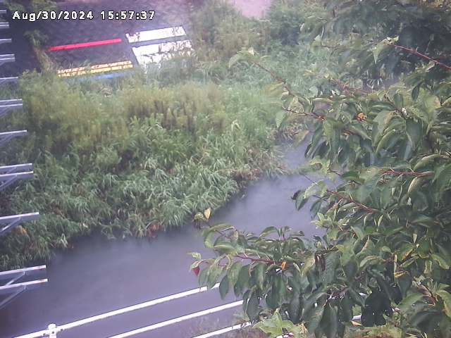 小松谷川２2025/08/31 9:10:00