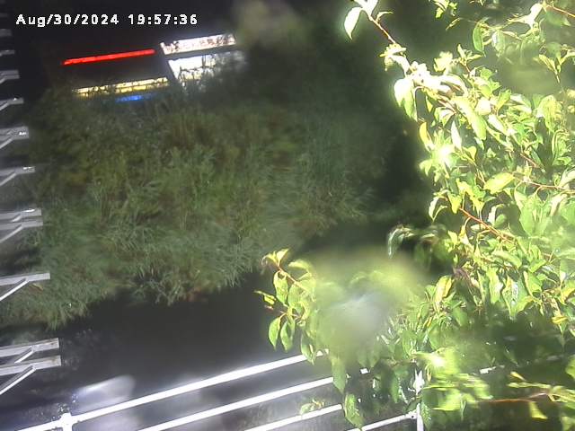 小松谷川２2025/08/31 9:10:00