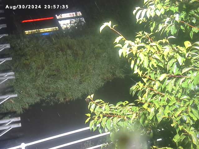 小松谷川２2025/08/31 9:10:00