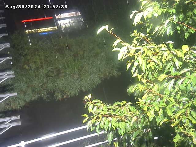 小松谷川２2025/08/31 9:10:00