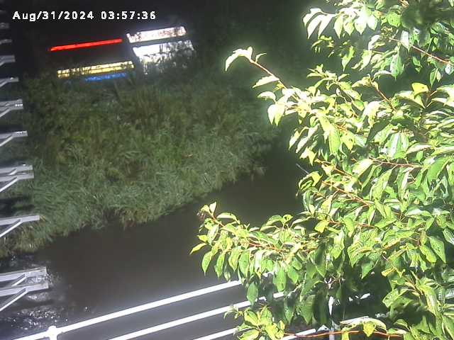 小松谷川２2025/08/31 9:10:00