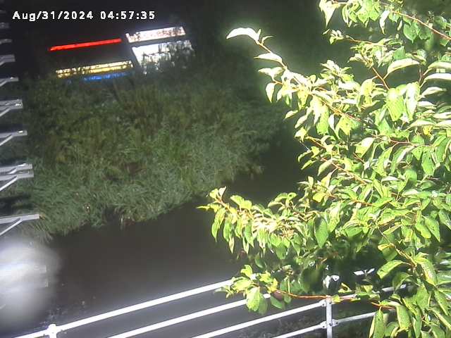 小松谷川２2025/08/31 9:10:00