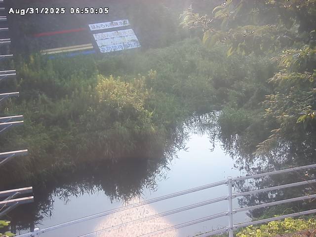小松谷川２2025/08/31 9:10:00