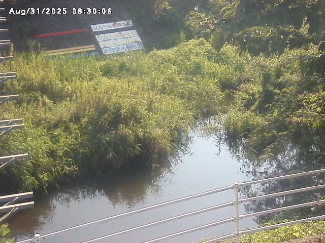 小松谷川２2025/08/31 9:10:00
