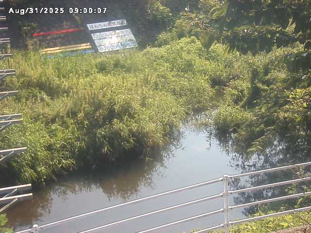 小松谷川２2025/08/31 9:10:00