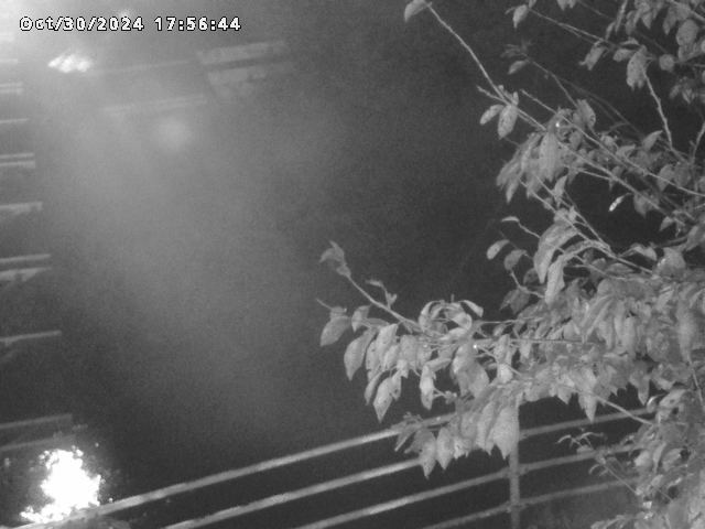 小松谷川22025/10/31 08:00