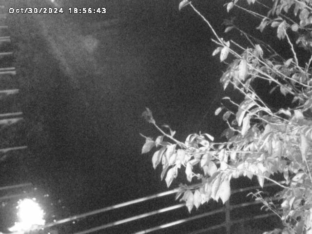 小松谷川22025/10/31 08:00