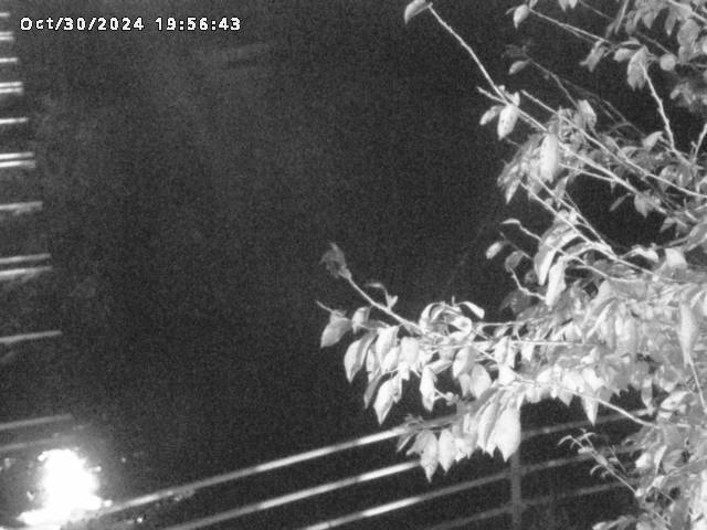 小松谷川22025/10/31 08:00