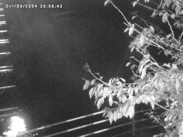 小松谷川22025/10/31 08:00