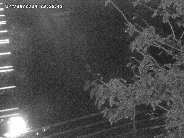 小松谷川22025/10/31 08:00