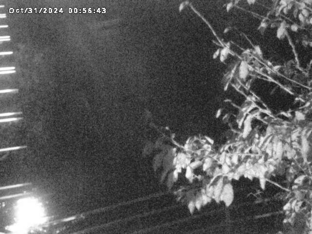 小松谷川22025/10/31 08:00