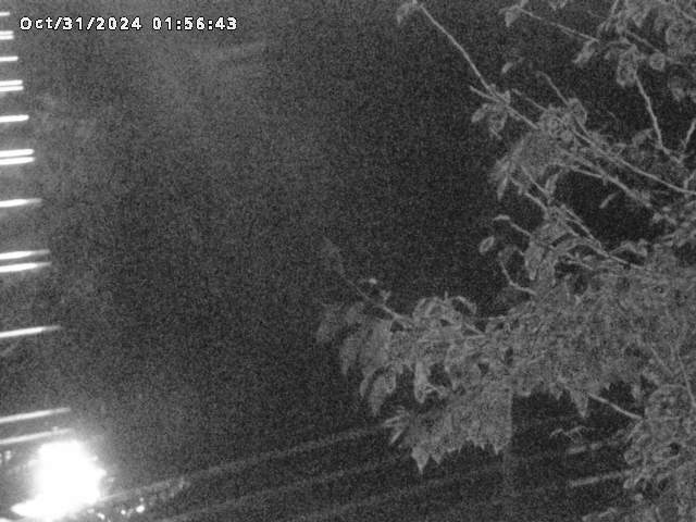 小松谷川22025/10/31 08:00