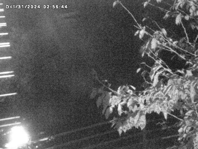 小松谷川22025/10/31 08:00