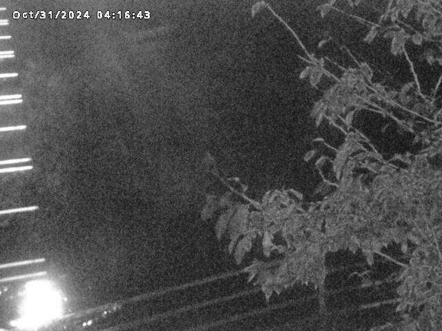 小松谷川22025/10/31 08:00