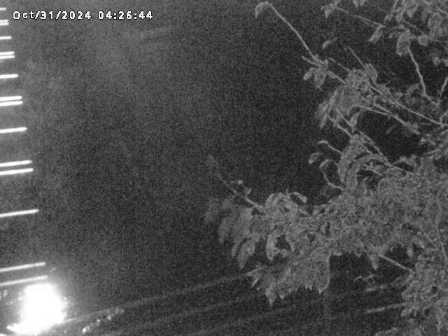 小松谷川22025/10/31 08:00