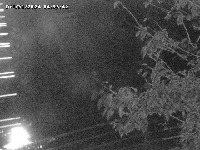 小松谷川22025/10/31 08:00