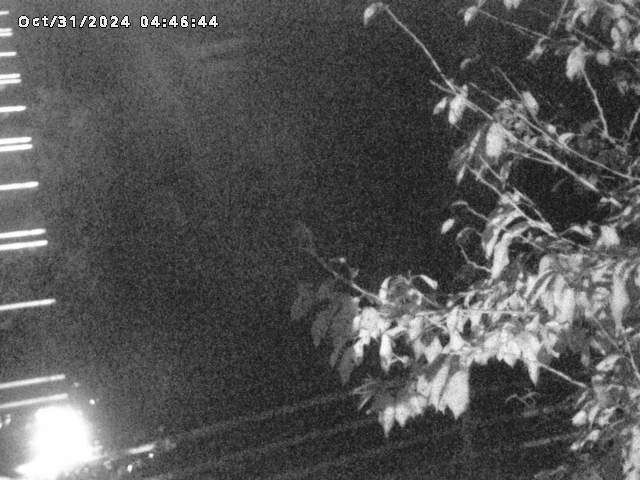 小松谷川22025/10/31 08:00